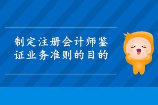 注册会计师及其业务范围解析